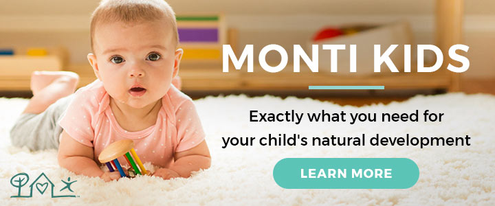 Monti Kids a toy subscription service